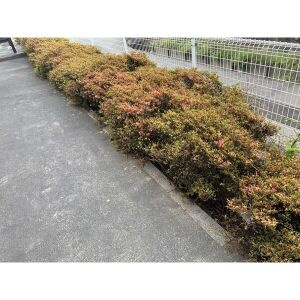 SurplusⅠ宮前Aのその他