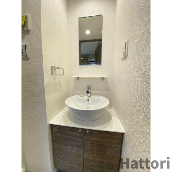 メルディア大正D.C.の洗面所