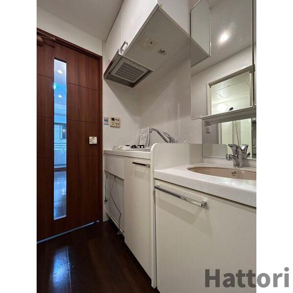 フェニックス日本橋高津の洗面所