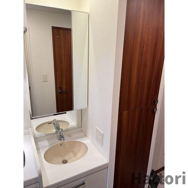 フェニックス日本橋高津の洗面所