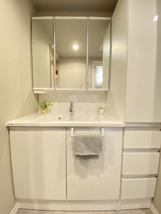 モア・ステージ南柏の独立洗面台|朝の支度にも助かる、独立の洗髪洗面化粧台