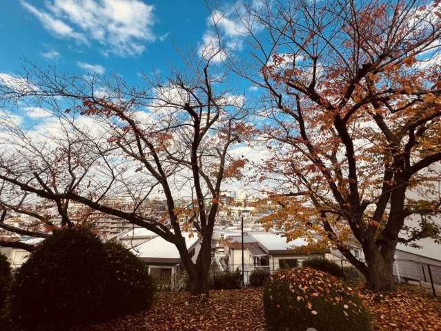 ハイツ東朝霧1号棟の展望