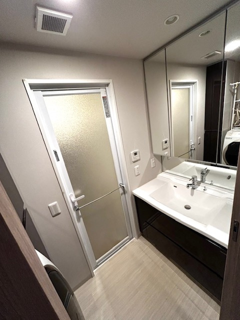 エヌヴィ東灘青木ガーデンズの独立洗面台