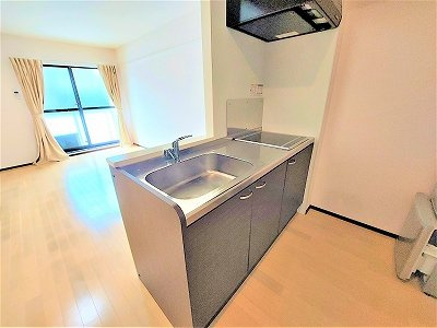 レオネクストＴａｋａｇｉｓｅのキッチン