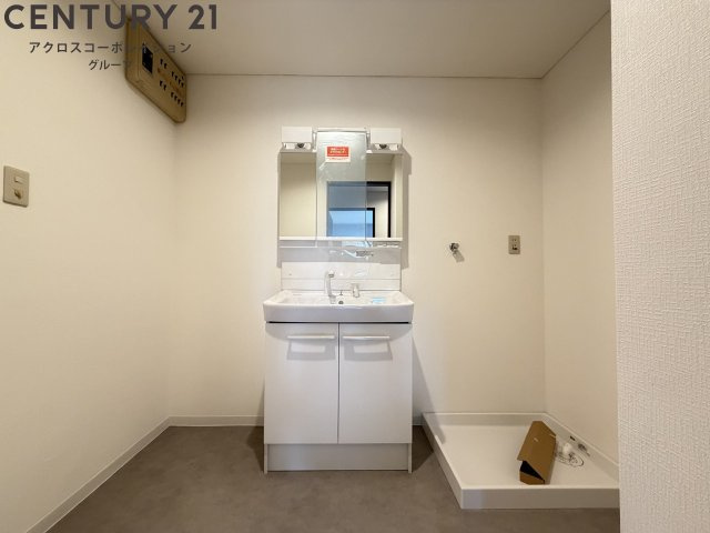 シャンプードレッサー