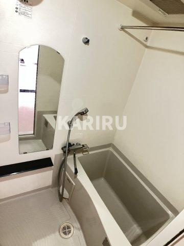 アドバンス大阪城北ルミウスの浴室