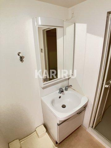 アドバンス大阪城北ルミウスの洗面所