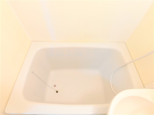 サンティーナSの浴室