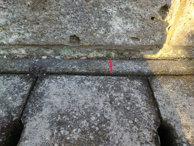 【外観】の画像