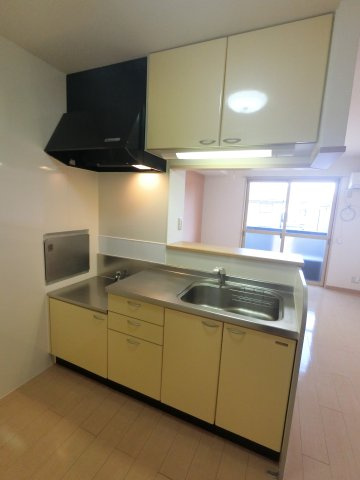 プレジールⅡのキッチン