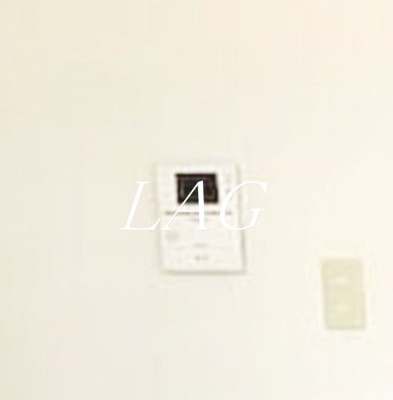 【セキュリティ】 | エリュシオン | モニター付きインターホンです。