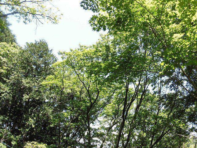 函南町　南箱根ダイヤランドの展望