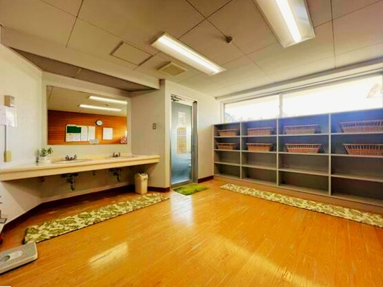 スプリングハイツ伊東のその他共用部分|脱衣所