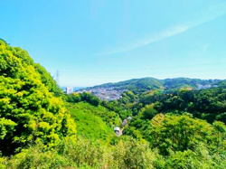 スプリングハイツ伊東