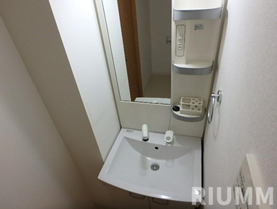 【独立洗面台】 | ディアレイシャス王子神谷