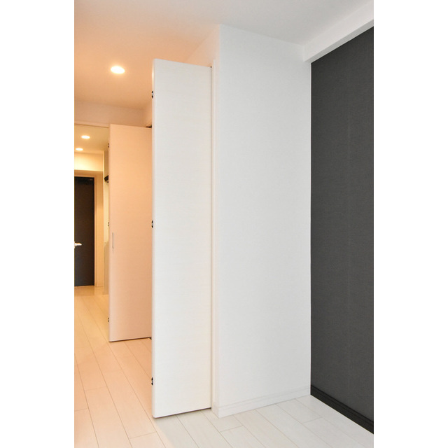 スプランディッド淀屋橋DUEの収納|ちょっとした収納スペースも充実しています