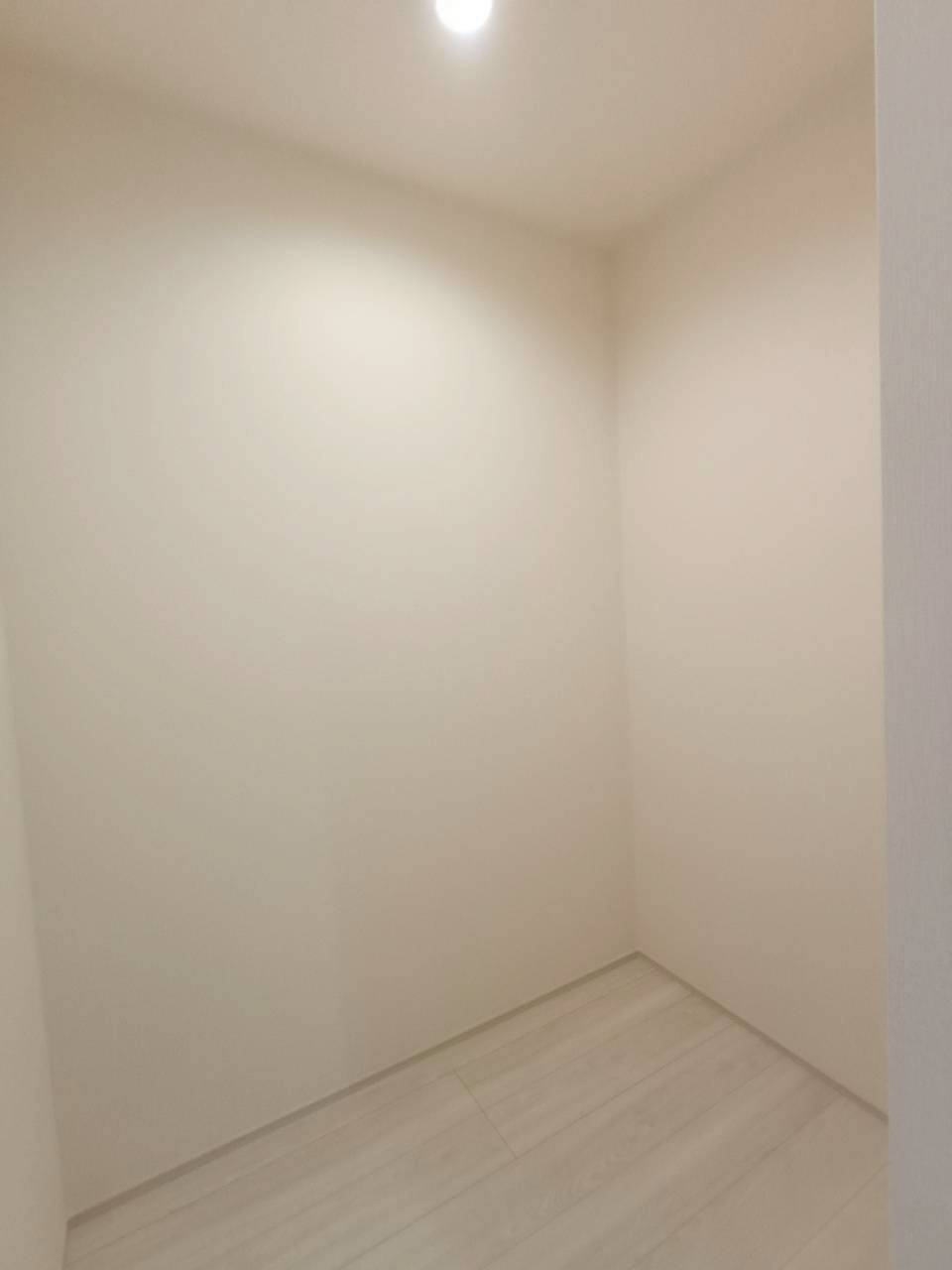 八潮市　大瀬　新築戸建　全1棟の収納|施工例です