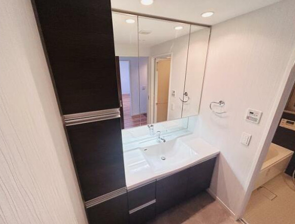 オーヴィジョン照葉アクアテラスの独立洗面台