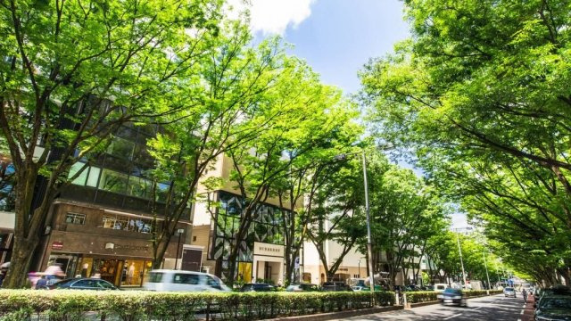 ラ　ヴォーグ南青山の周辺
