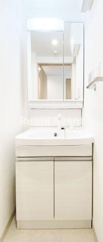 プレイズシード瑞穂通の洗面所