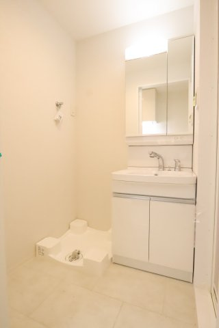 大阪市城東区関目５丁目の賃貸マンションの洗面所