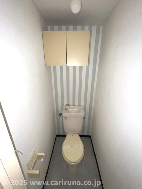 落ち着いた色調のトイレです