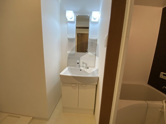 ソラーナ弥刀の独立洗面台