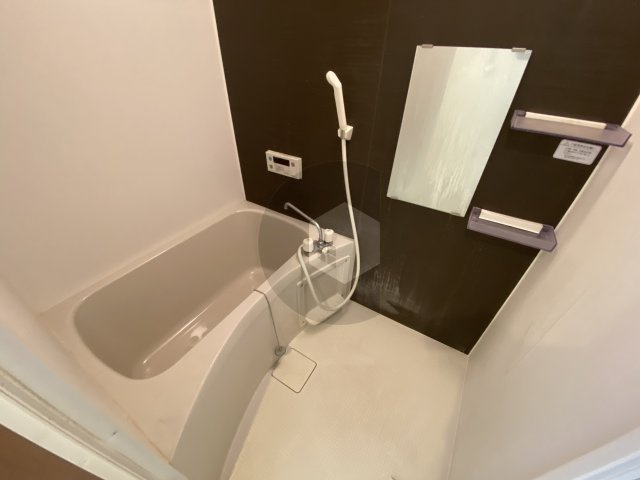 ソラーナ弥刀の浴室