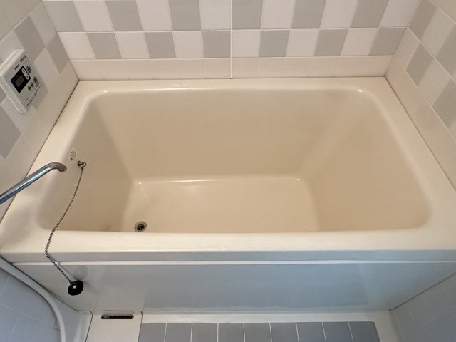 ラ・モードニシカワ1の浴室