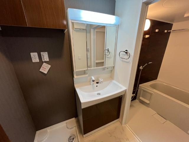 【洗面所】 | Feliz Bonita（フェリス　ボニータ） | 洗髪洗面化粧台