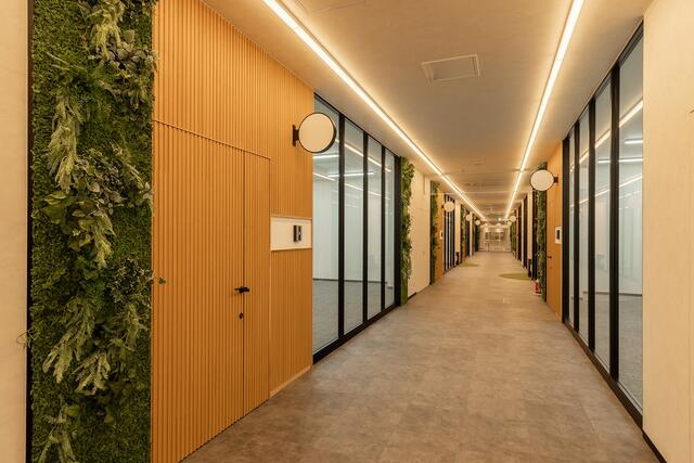 ＣＯＣＯＬＡ　ＡＶＥＮＵＥ