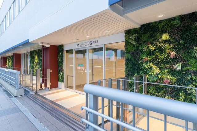 ＣＯＣＯＬＡ　ＡＶＥＮＵＥ