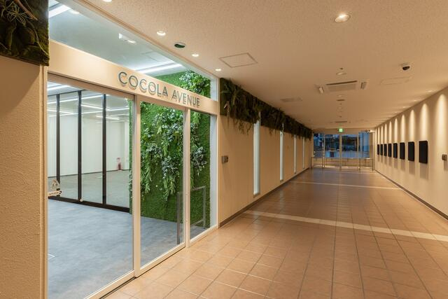 ＣＯＣＯＬＡ　ＡＶＥＮＵＥ