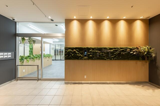 ＣＯＣＯＬＡ　ＡＶＥＮＵＥ