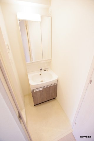 プレサンス南堀江　仲介手数料無料の洗面所