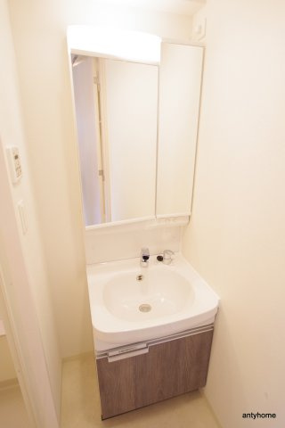 プレサンス南堀江　仲介手数料無料の洗面所