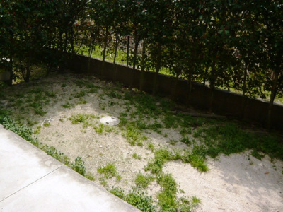 【その他】 | ＳＵＥ　ＳＴＡＴＩＯＮハイツ | 専用庭