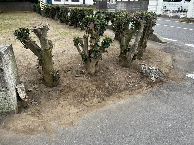 ひたちなか市磯崎町　土地の周辺