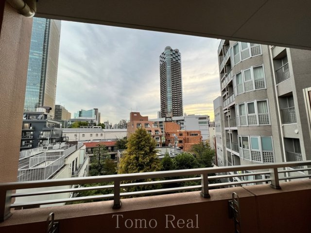 ザ・レジデンス赤坂檜町の展望