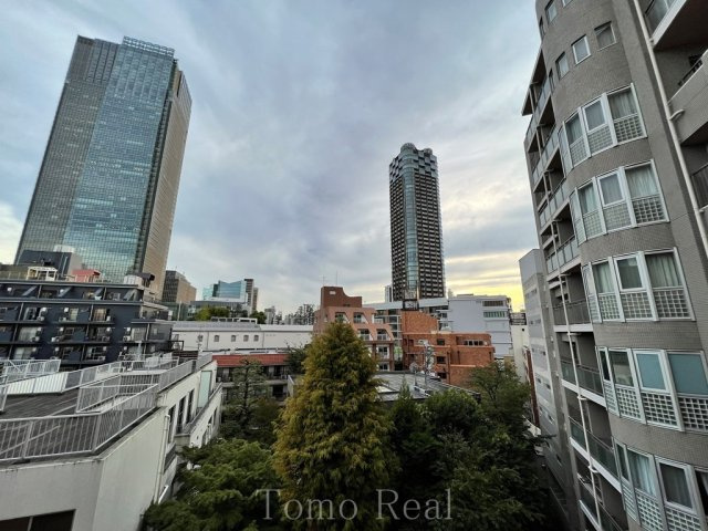 ザ・レジデンス赤坂檜町の展望|別住戸の写真です