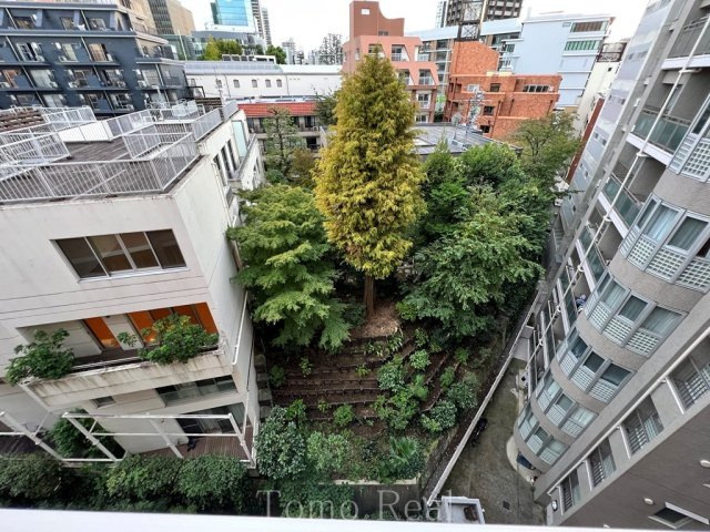 ザ・レジデンス赤坂檜町の展望|別住戸の写真です