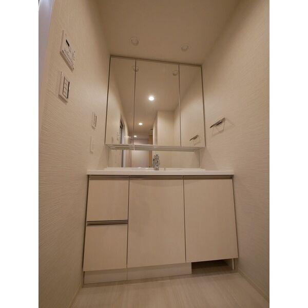 ウィスティリア豊橋の洗面所