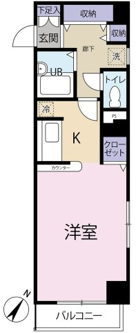 コンフォート東麻布の間取り|南東向きのフローリング、大容量の収納あり