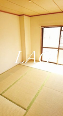 【その他】 | ルミナス