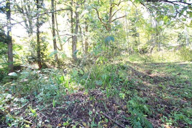 五竜別荘地の周辺