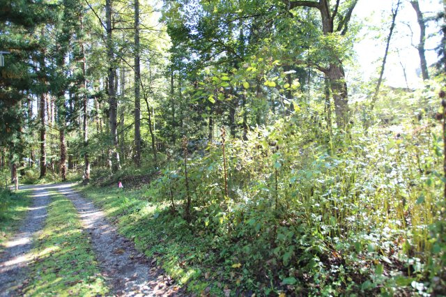 五竜別荘地の周辺