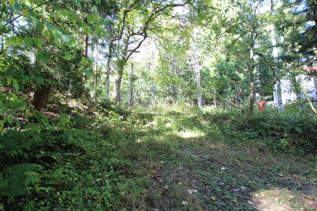 五竜別荘地の周辺