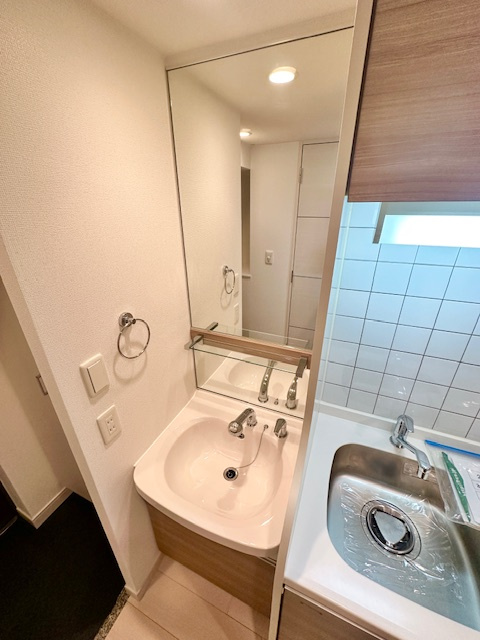 プレサンス堺筋本町フィリアの洗面所|他号室参考写真