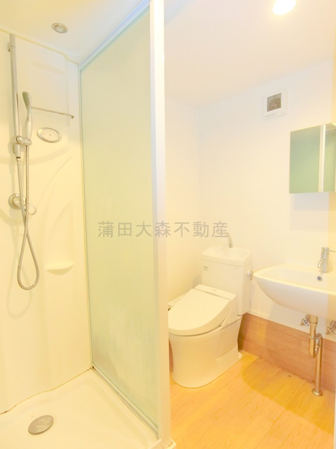 フェリシテ大田区中央の洗面所