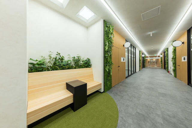 ＣＯＣＯＬＡ　ＡＶＥＮＵＥ